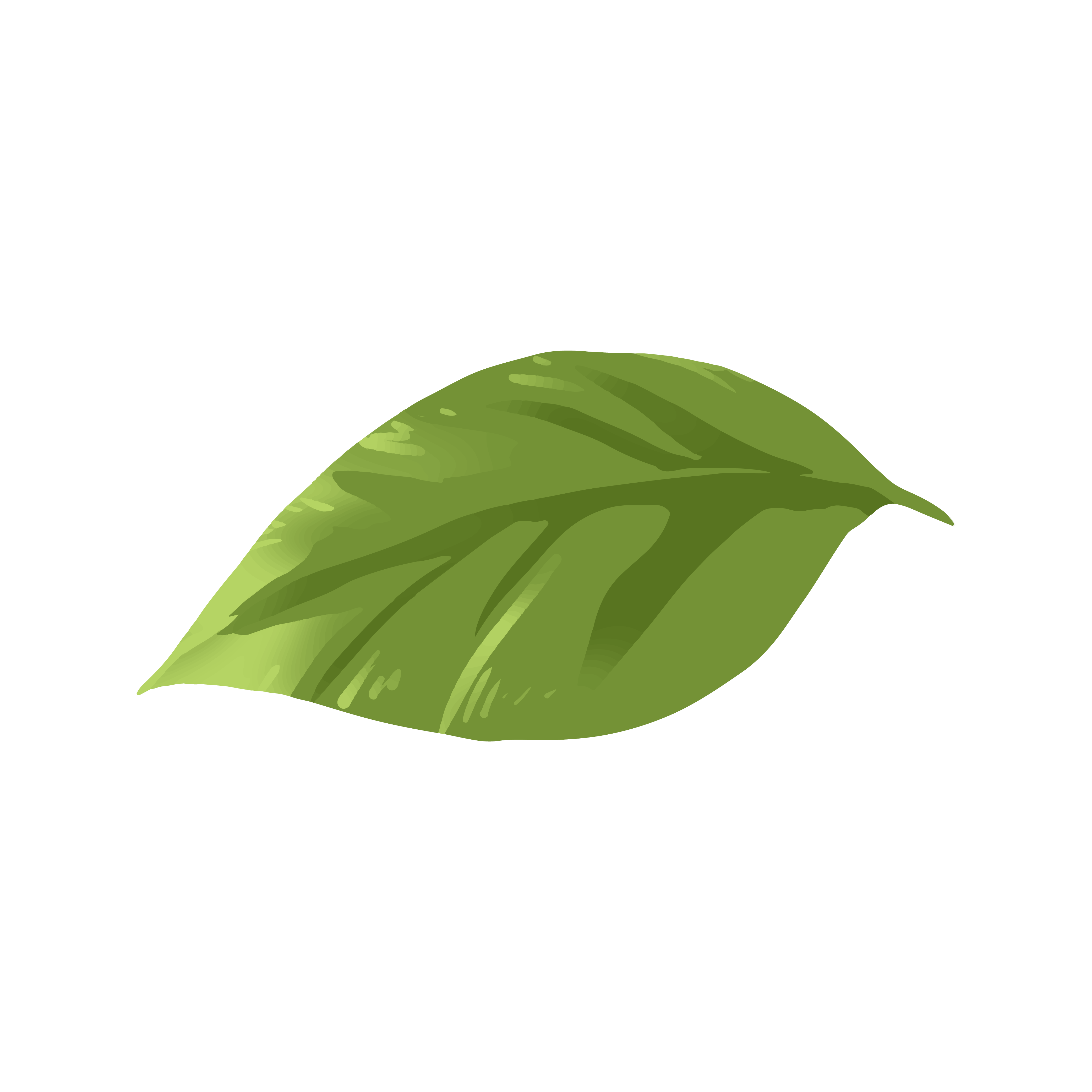 saaspik